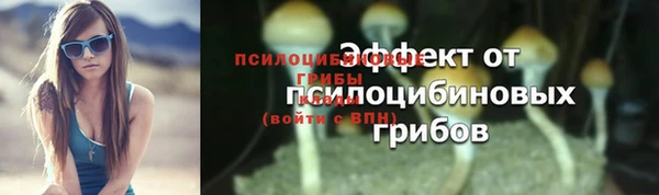 дмт Богородск